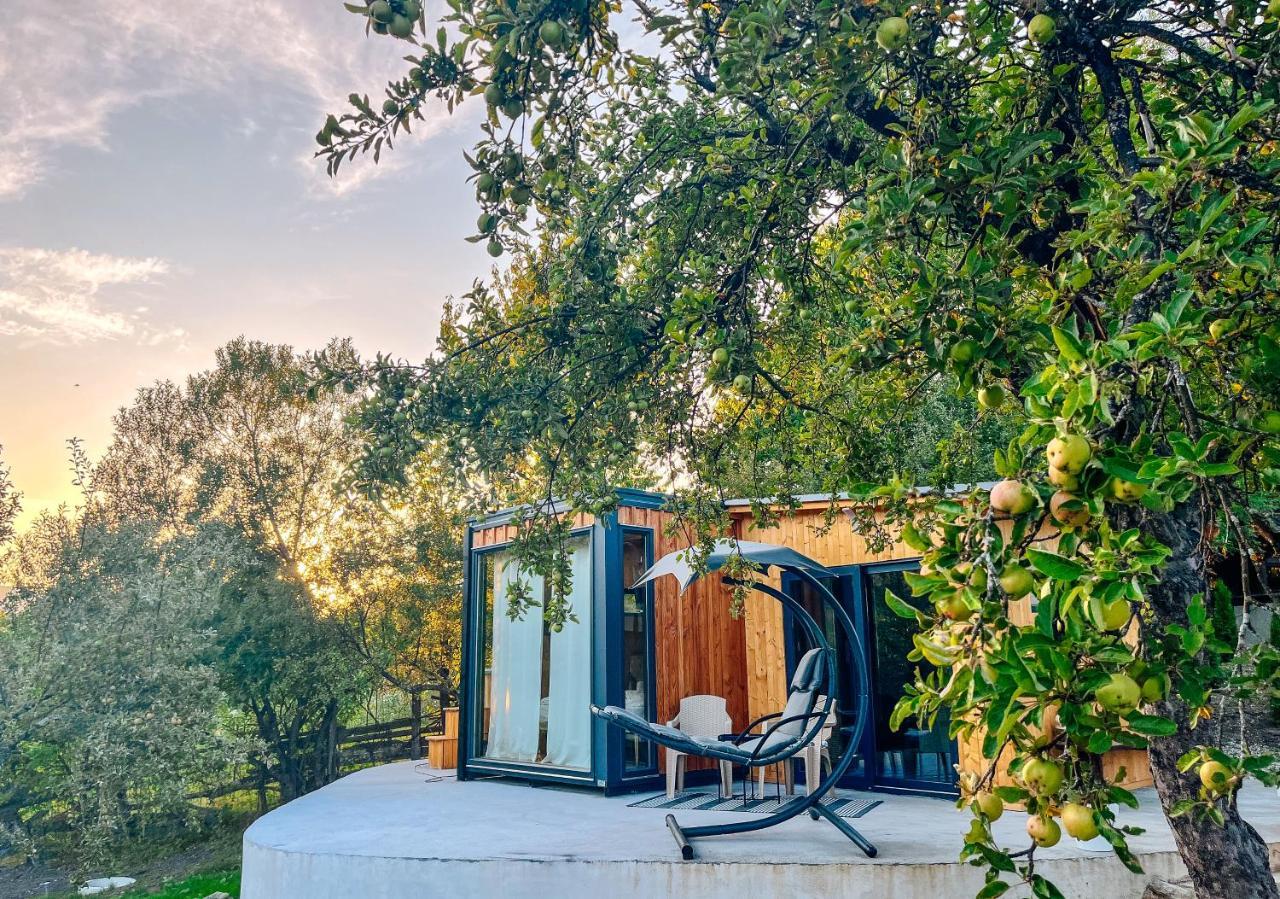 Elysian Fields - The Island Tiny House Bed & Breakfast Sadu Exterior photo